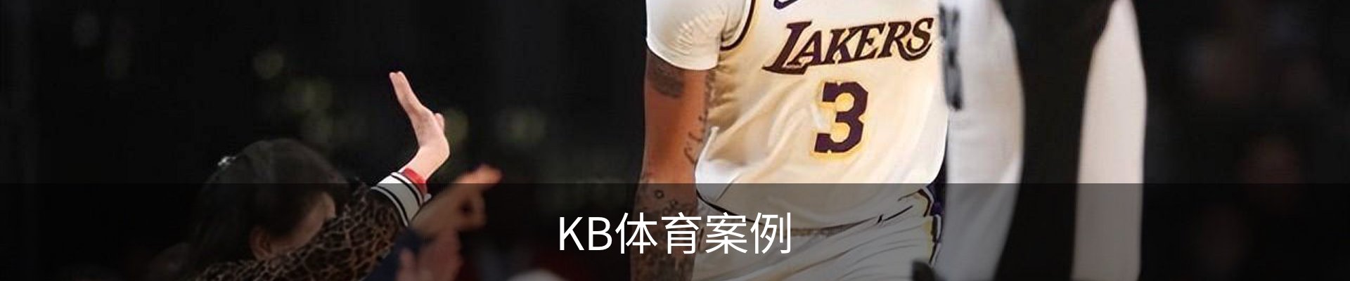 KB体育案例